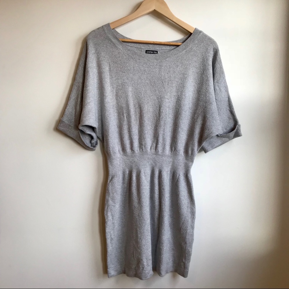 Sparkly gray and silver Express mini dress